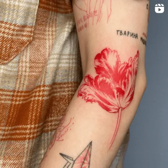 marta_bocharova, Guest Artist bei True Canvas Wien – Illustrativ / Graphisch
